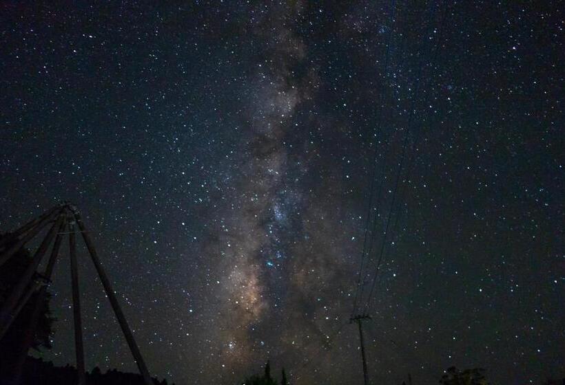 بنسيون Seiryukyou