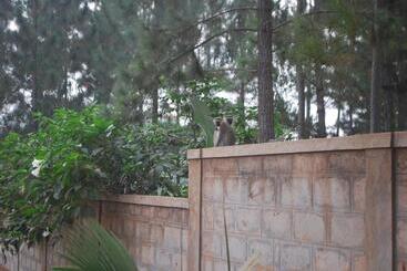 هتل Saltek Forest Cottages