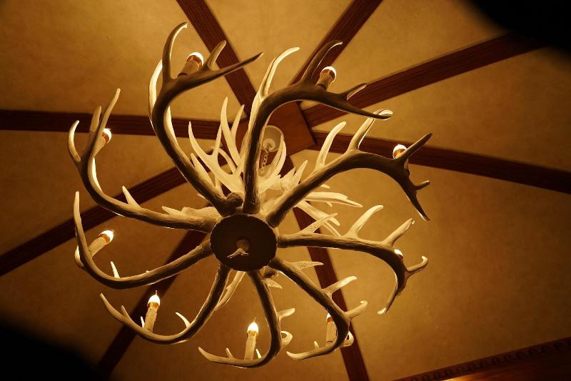 پانسیون Go To Where