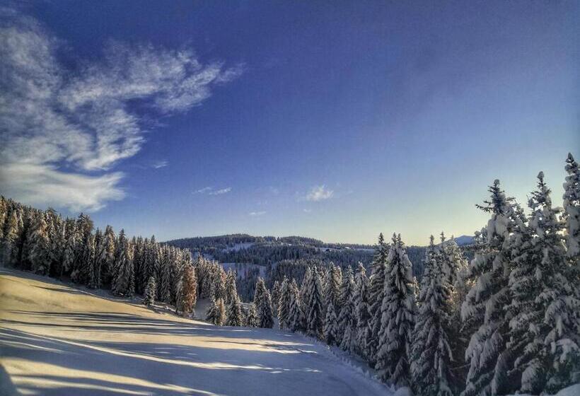 בית מלון כפרי Oberhauser Hütte Rodenecker   Lüsner Alm
