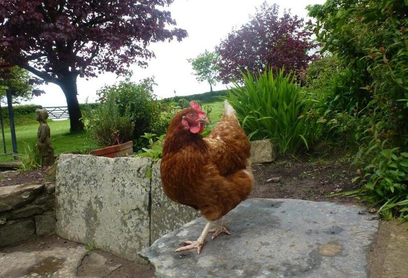 Kidwelly Farmhouse B&b