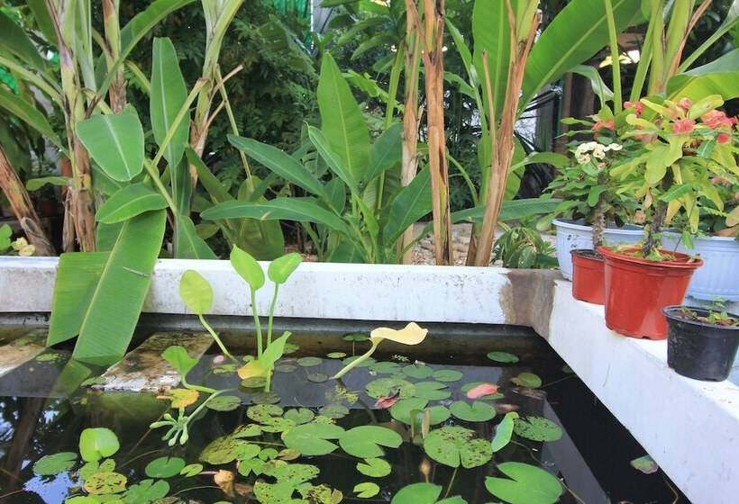 پانسیون Paziflora Hostel