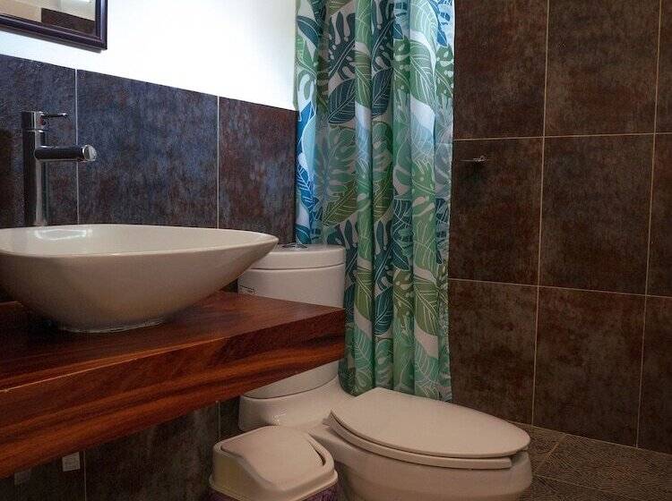 پانسیون Paziflora Hostel