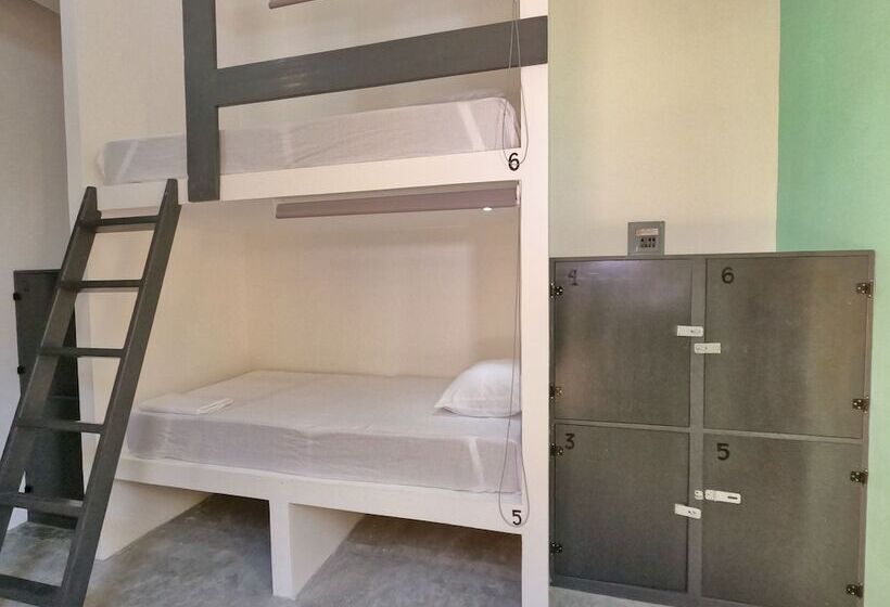 پانسیون Paziflora Hostel