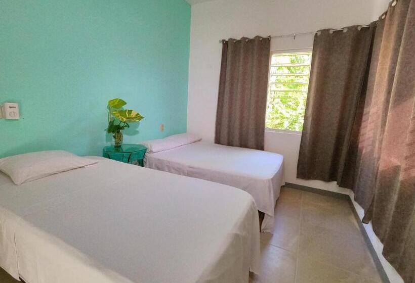 پانسیون Paziflora Hostel