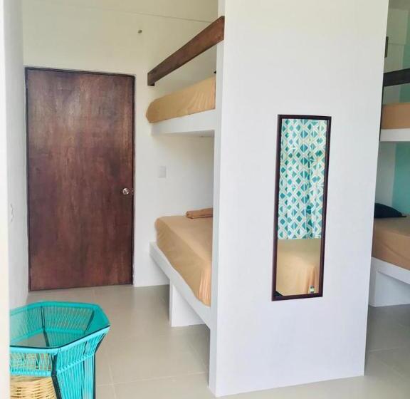 پانسیون Paziflora Hostel
