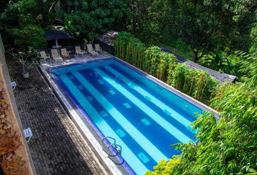 تختخواب و صبحانه Laluna Eco Resort Pvt Ltd