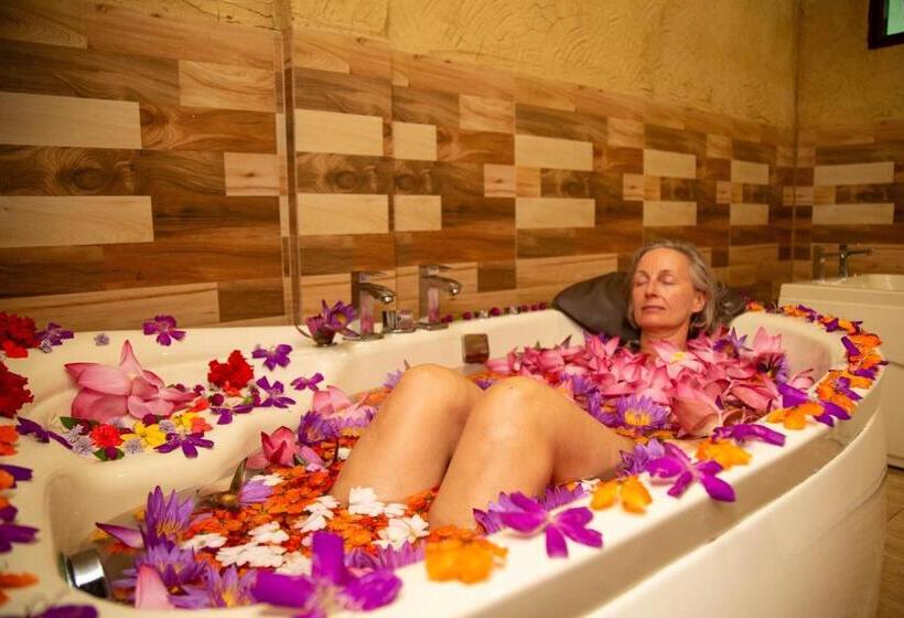 تختخواب و صبحانه Laluna Eco Resort Pvt Ltd