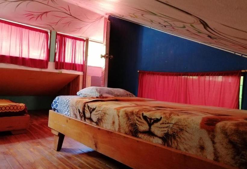 تختخواب و صبحانه Mi Casa Tica