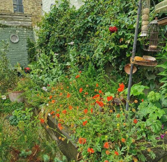 تختخواب و صبحانه Rosslyn Court