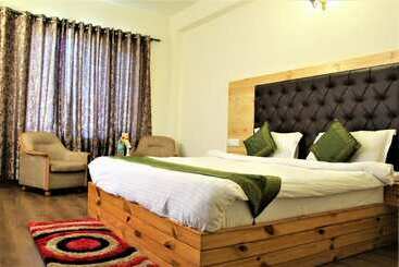 Fotos del hotel Aash Manali Retreat Spa & Resort:  2
