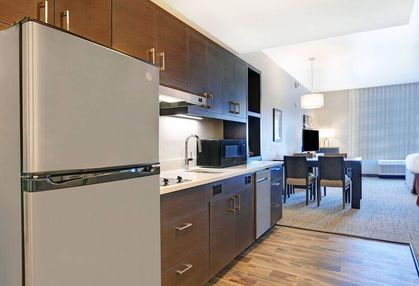 هتل Towneplace Suites By Marriott Jackson Airport / Flowood