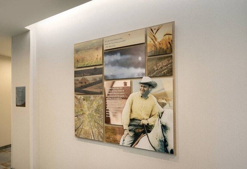 Отель Fairfield Inn & Suites By Marriott Tampa Wesley Chapel