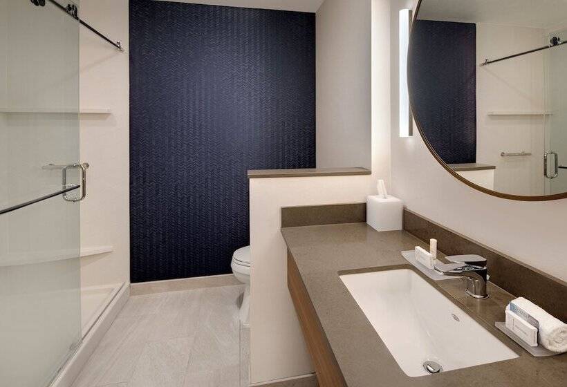 Отель Fairfield Inn & Suites By Marriott Tampa Wesley Chapel