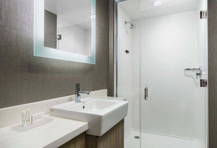 酒店 Springhill Suites By Marriott Philadelphia West Chester/exton