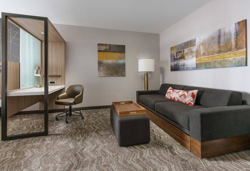 酒店 Springhill Suites By Marriott Philadelphia West Chester/exton