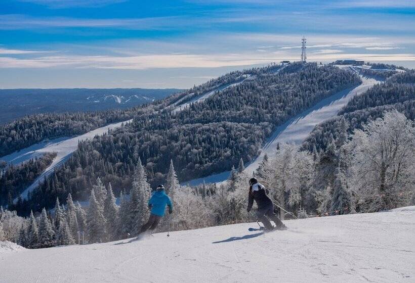 Microtel Inn & Suites By Wyndham Mont Tremblant