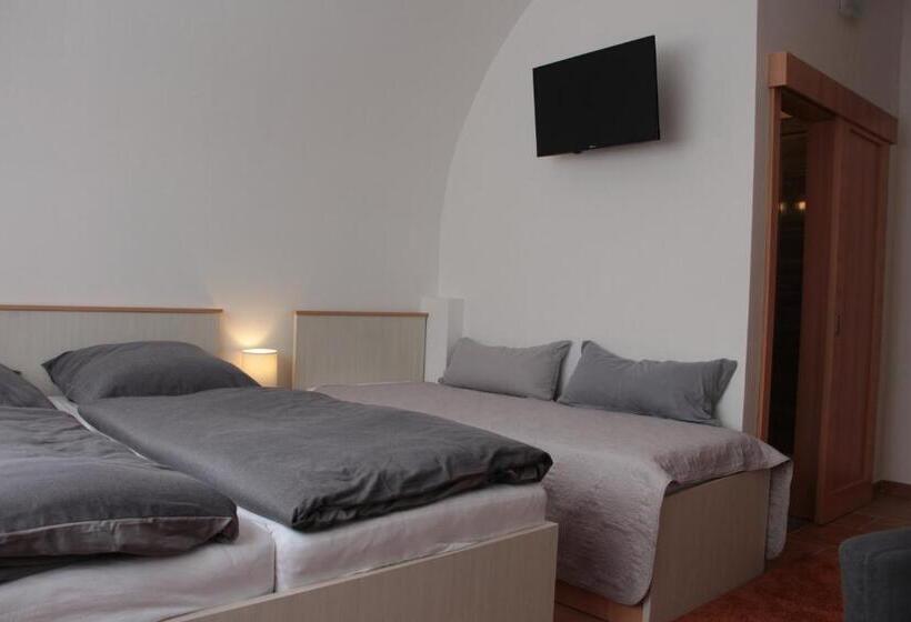 هاستل Penzion U Pidly