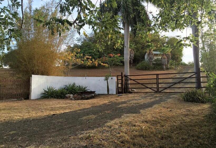تختخواب و صبحانه 4 Casitas