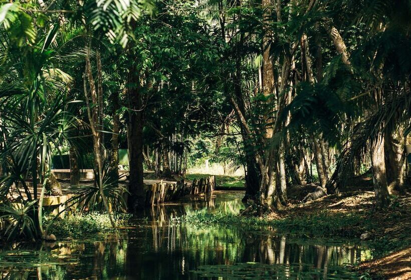 هتل Overbridge River Resort