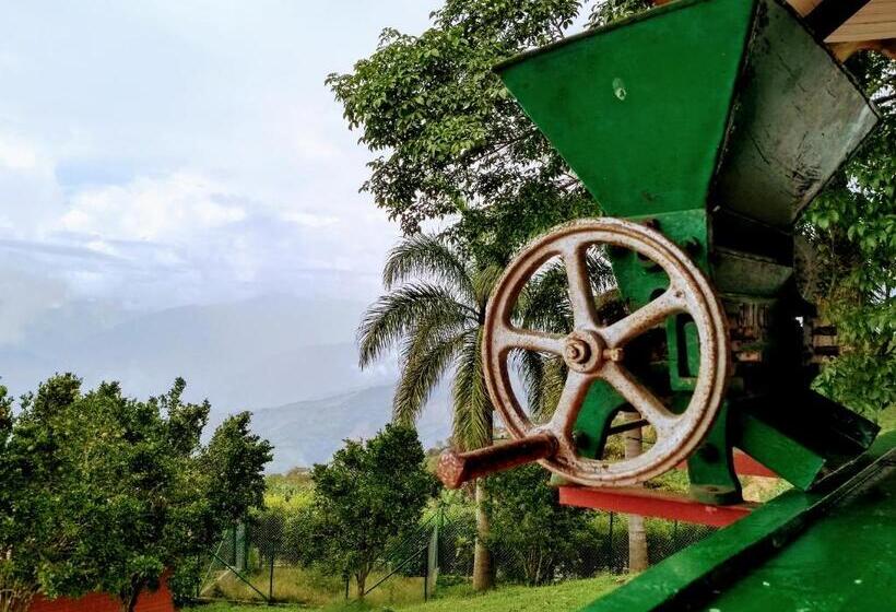 هتل Paraíso Tropical