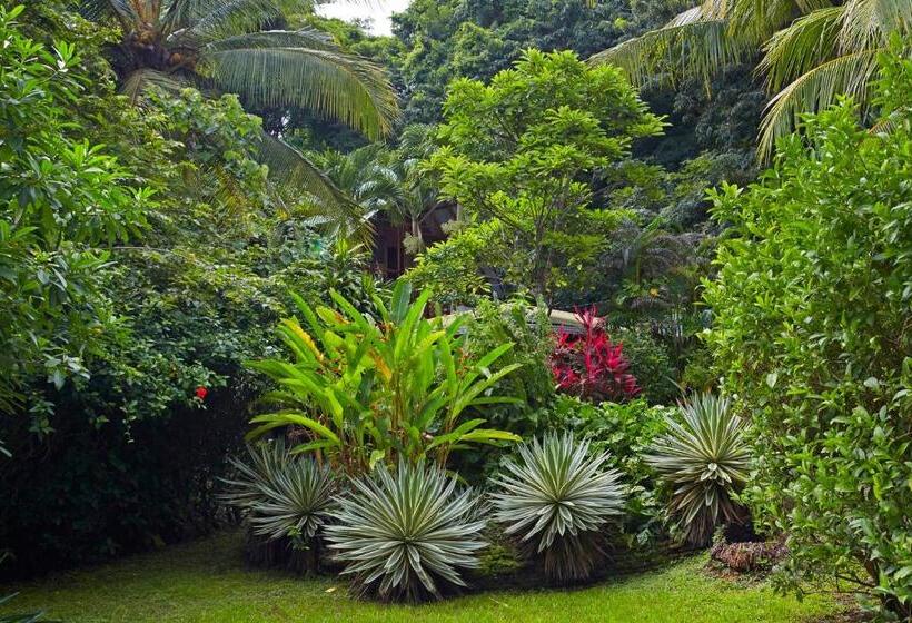 فندق Entre Dos Aguas