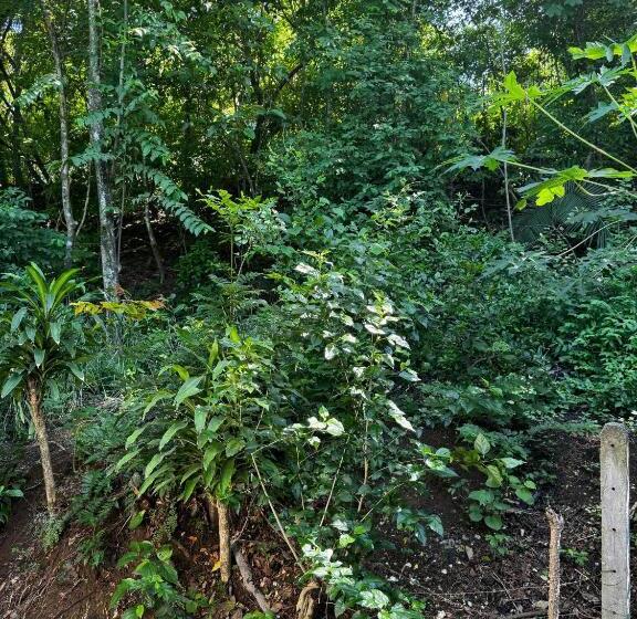 فندق Entre Dos Aguas