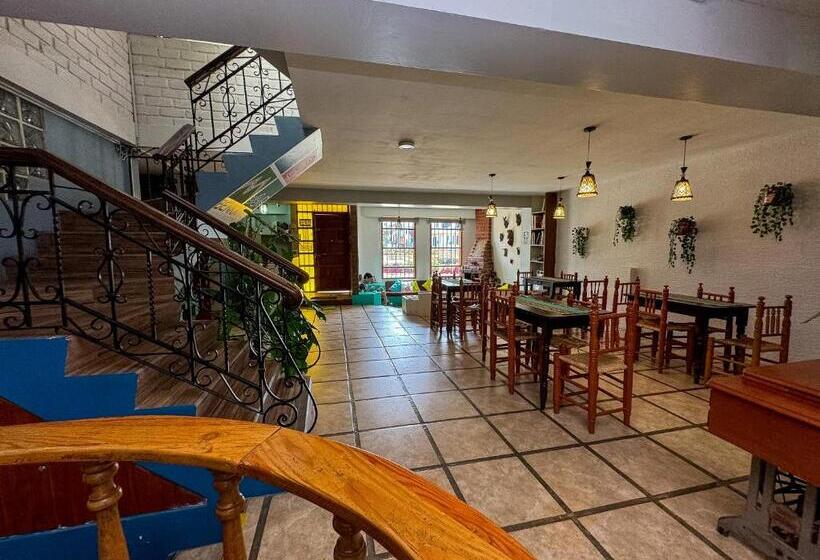 هاستل Benkawasi Experience Huaraz