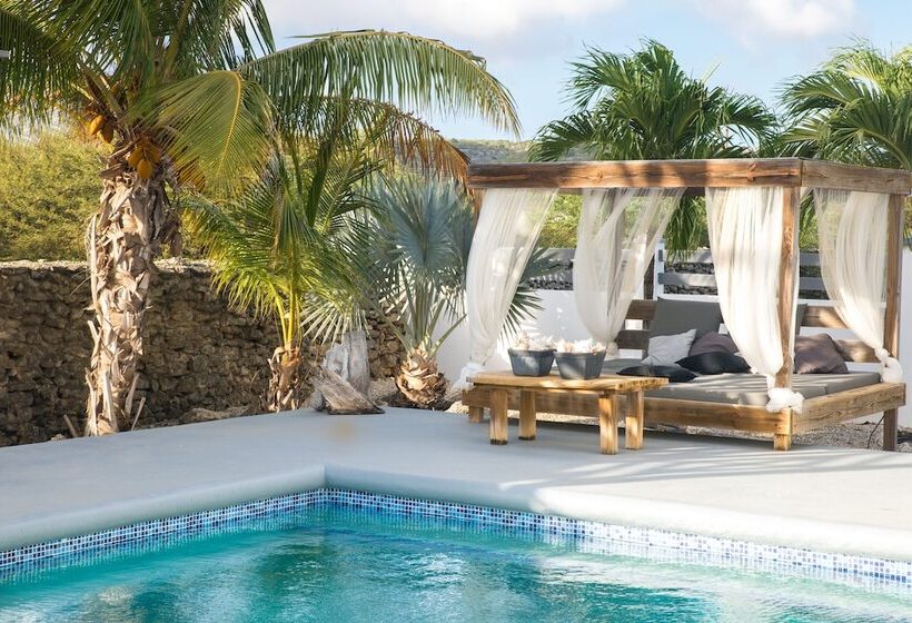 هاستل Hakuna Matata Bonaire   Beach & Diving
