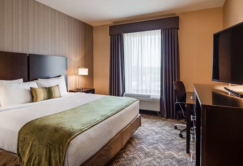 酒店 Best Western Plus Philadelphiapennsauken