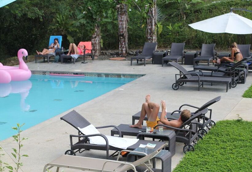 هاستل Teva Hotel & Jungle Reserve