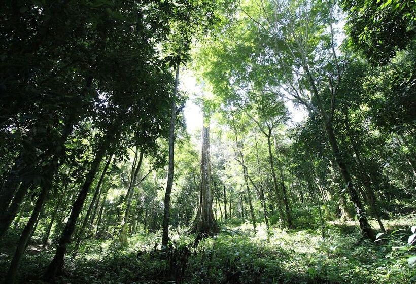 هاستل Teva Hotel & Jungle Reserve