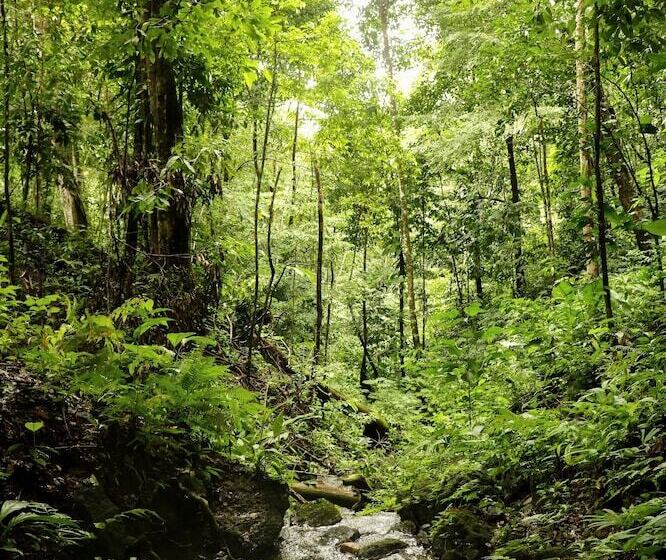 هاستل Teva Hotel & Jungle Reserve