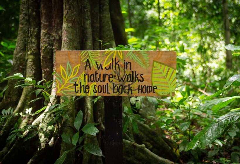 هاستل Teva Hotel & Jungle Reserve