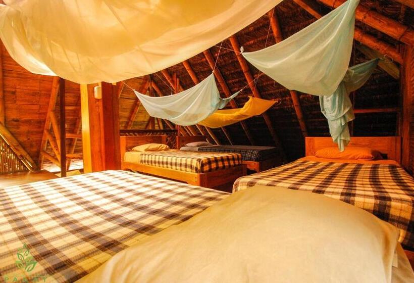 پانسیون Hostal Pakay