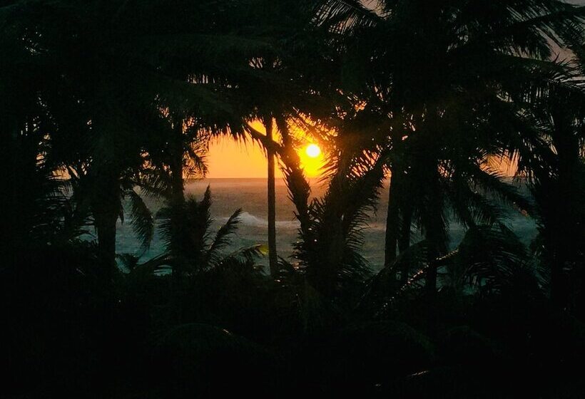 Baoba Breeze Bed & Breakfast  Beachfront Paradise