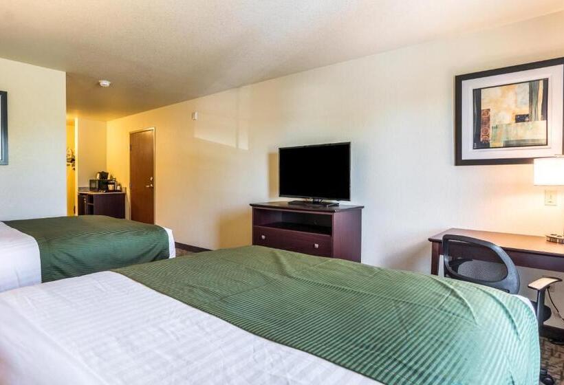 Cobblestone Hotel & Suites   Torrington