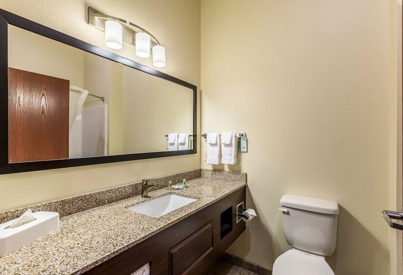 هتل Cobblestone Inn & Suites  Fairfield Bay