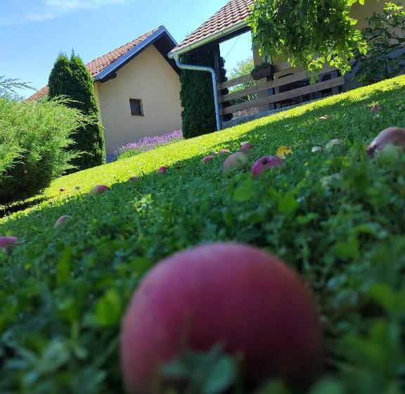 پانسیون Garden 022