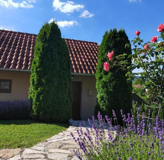 پانسیون Garden 022