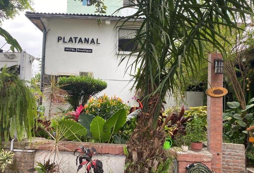 هاستل Boutique Platanal