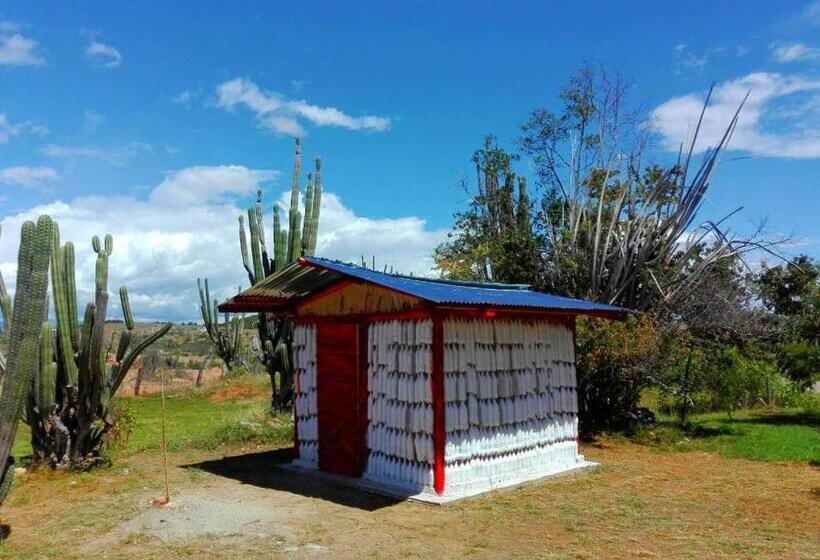هتل Alojamiento Casa De Campo Los Cactus