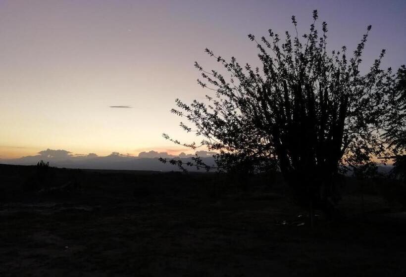 هتل Alojamiento Casa De Campo Los Cactus