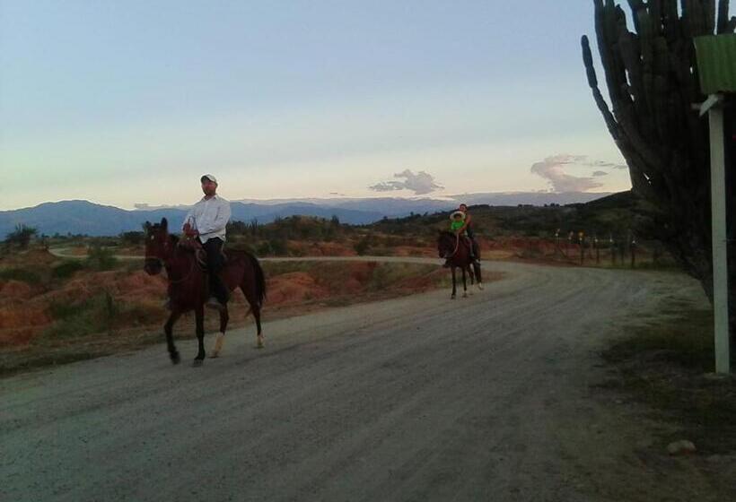 هتل Alojamiento Casa De Campo Los Cactus