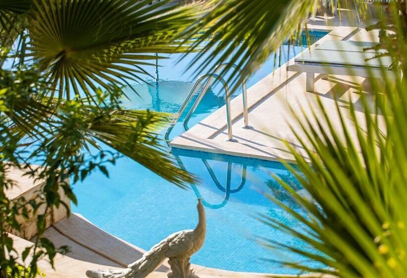 هتل Kale Lodge - Adult Only + 15