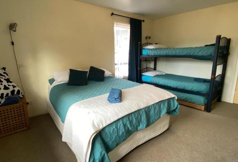 فندق صغير The Lazy Cow Accommodation