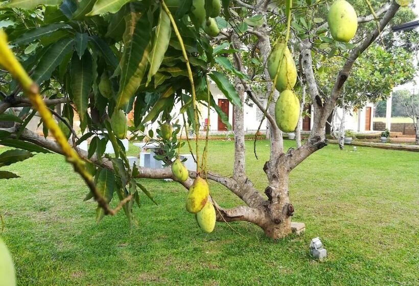 هتل Four Points Resort Anuradhapura