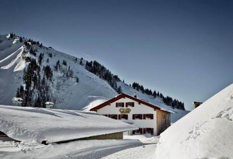 پانسیون Berghotel Altes Wallberghaus