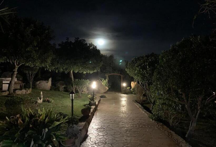 مبيت وإفطار Agriturismo Muru Idda