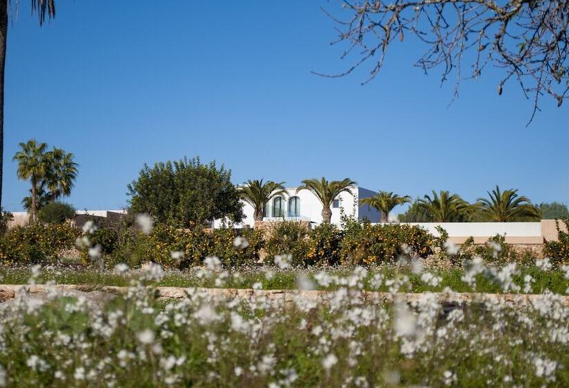 هتل Safragell Ibiza Suites & Spa